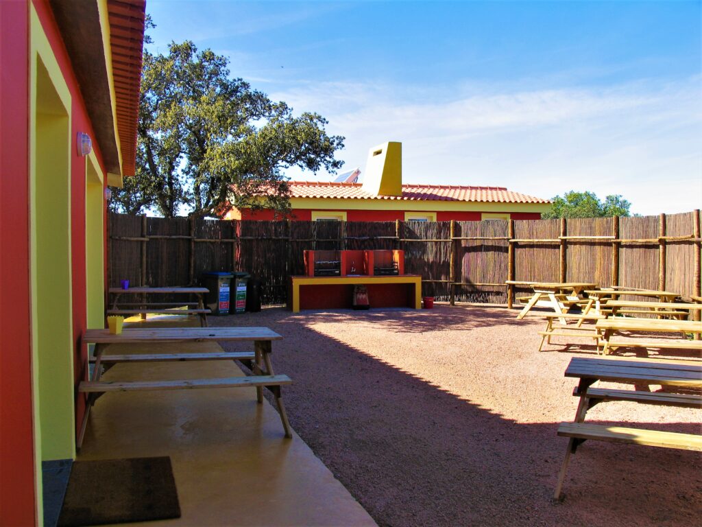 CFS26002