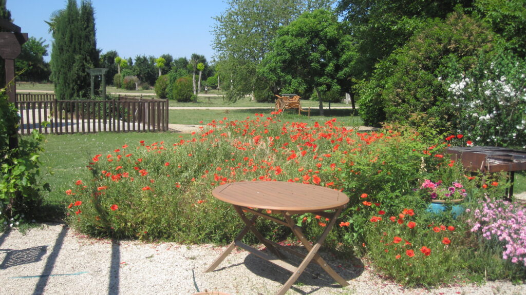 Camping de Courtye Vallee