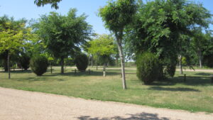 Camping de Courtye Vallee