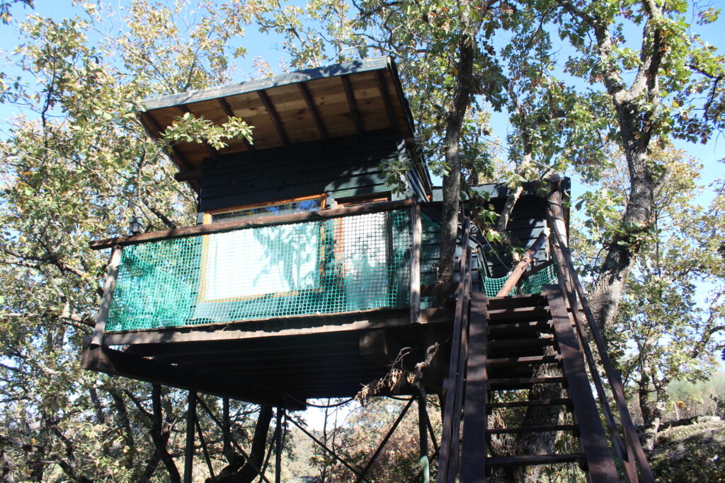 Cabañas en los Árboles de Extremadura