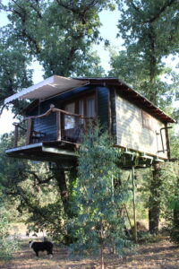 Cabañas en los Árboles de Extremadura