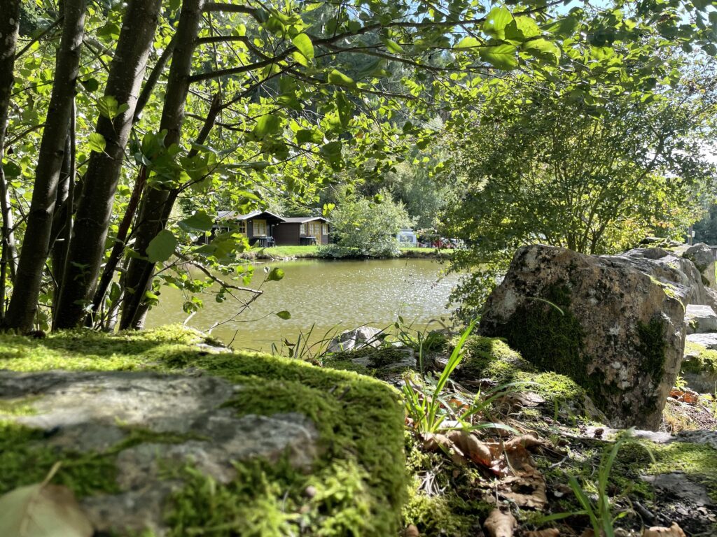 Camping Bockenauer Schweiz