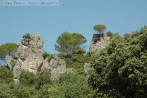 V7257