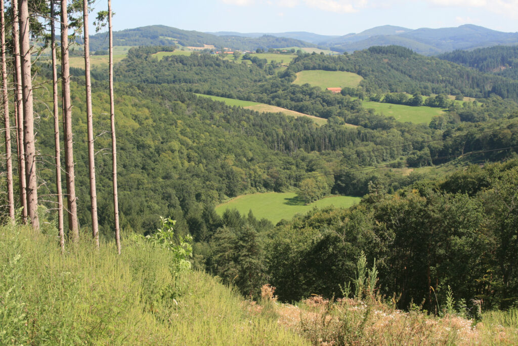 Domaine Chez Jem
