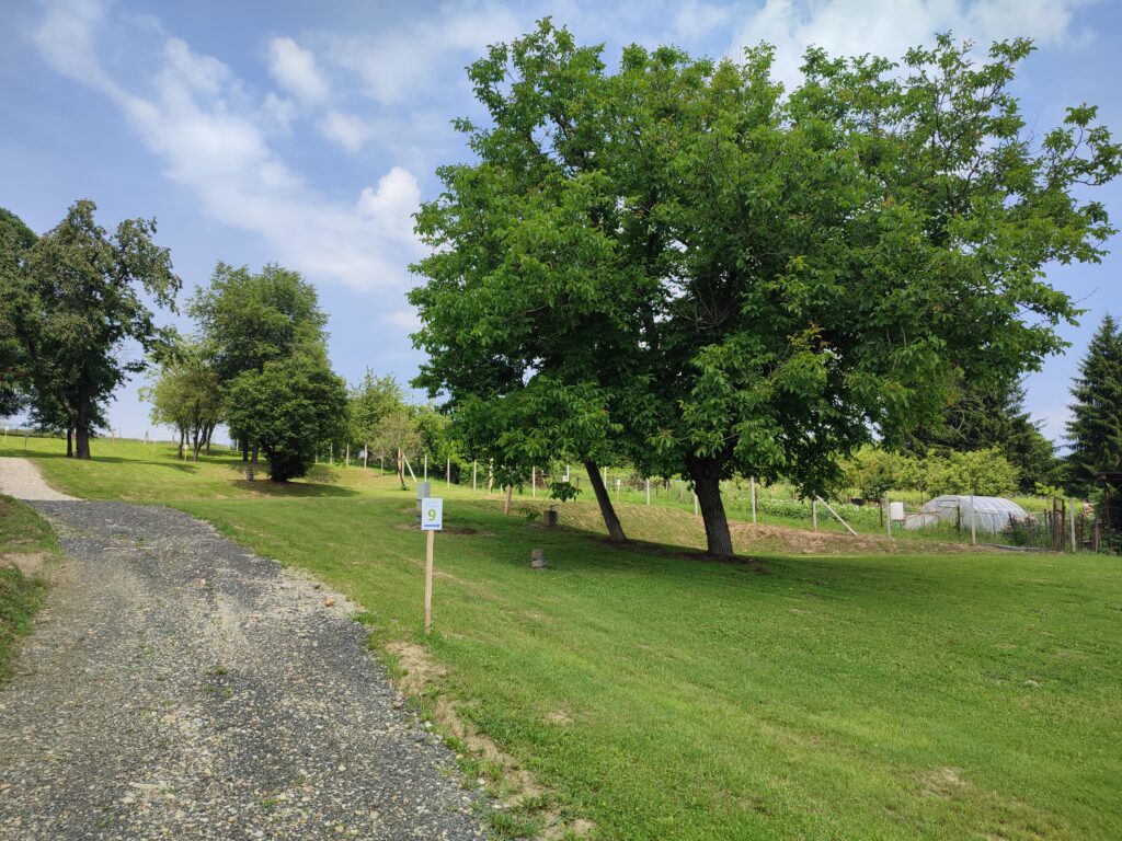 Zöld Zóna Lispe Camping és 8888 Vendégház