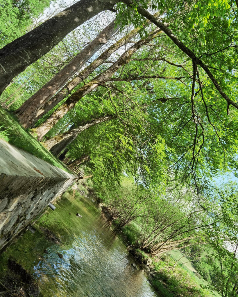 Grajski park Vitez