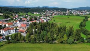 Grajski park Vitez