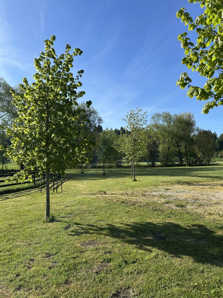 Grajski park Vitez