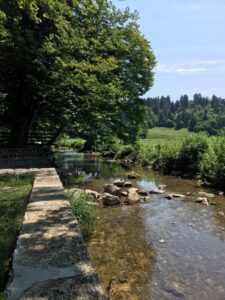 Grajski park Vitez